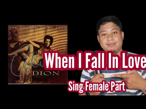 When I Fall in Love - Celine Dion and Clive Griffin- Karaoke - Male Part Only