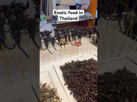 EXOTIC FOOD IN BANGKOK! #exoticfoods #bangkok #travel #travelvlog #foodvlog #streetfood