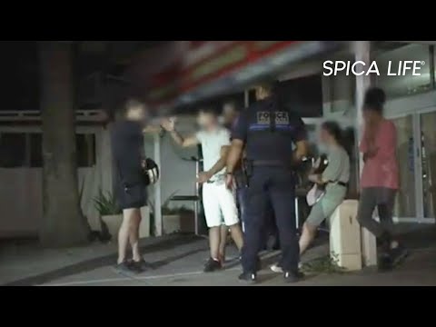 Nuit agitée à Fréjus : police débordée !