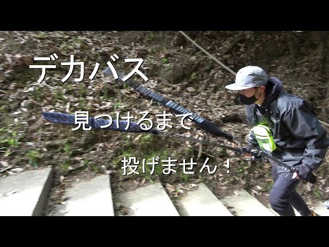 デカバス見つけるまで投げません！(バス釣り）