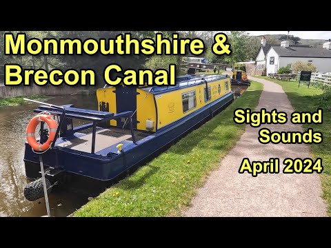 Monmouthshire and Brecon Canal, Sights and Sounds April 2024