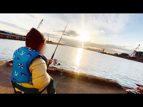 小学1年生にボコボコにされました。