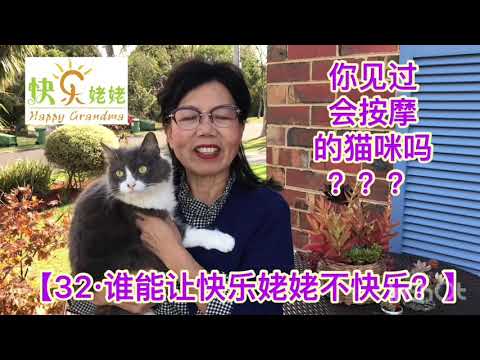 【快乐姥姥·33·谁能让快乐姥姥不快乐？你见过会按摩的猫咪🐱吗？】