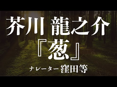 『葱』作：芥川龍之介　朗読：窪田等　作業用BGMや睡眠導入 おやすみ前 教養にも 本好き 青空文庫