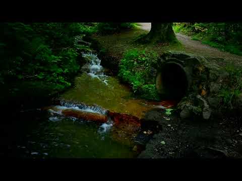 River Sounds, Water Sounds to Relax, Study, Meditate & Fall Asleep [NO BIRDS]