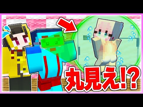 🌈なんでも透けるメガネを使って女の子の家を覗きまくるwww 【まいくら / マインクラフト】