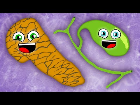 Your Gallbladder Is Green! | KLT Anatomy