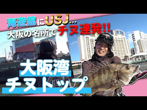 【大阪湾チヌトップ】海遊館…USJ…大阪の名所はチヌ釣れすぎでしょ！！#ウインクすりゃええ思うとる