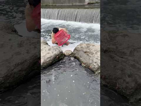 Very simple catch fish in taiwan