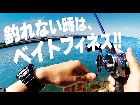 釣れない時は “ベイトフィネス” をやろう!! 三重県伊勢湾奥の漁港で根魚を釣る【ライトロックゲーム】