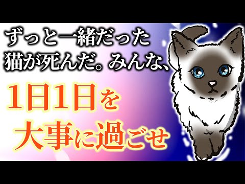 【2ch泣けるスレ】ずっと一緒だった猫が死んだ話。ペットとの1日1日を大事にしてほしい。