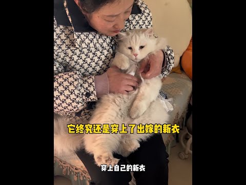 明明是帮一只猫咪找到了环境很好的新家。可为什么那么不舒服呢。