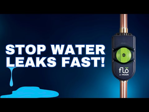 Flo by Moen Explained: Smart Water Monitoring & Leak Detection