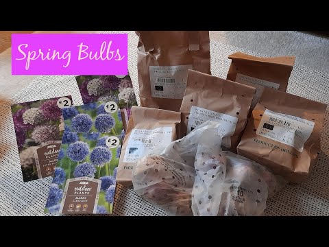 Spring Bulb Haul - Peter Nyssen & Asda - Hyacinths, Tulips, Alliums 🌷