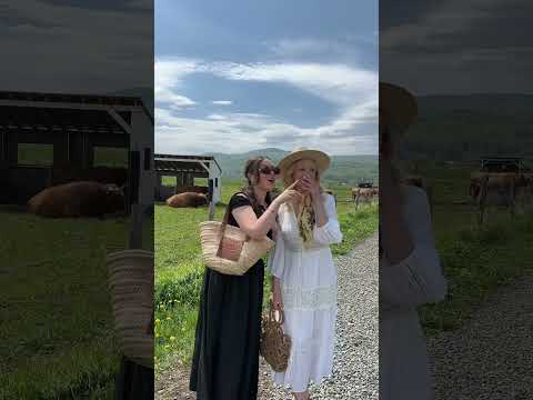 you have to stay at this spa/hotel in Charlevoix, Quebec! 🐮🌼🌾 #quebec #dailyvlogging