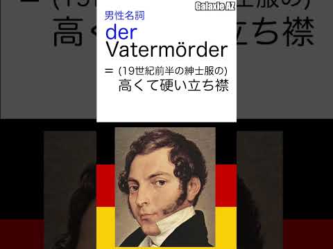 ドイツ語で「父親殺人犯」とは？🇩🇪🔍 #日本語 #ショートビデオ #言語学習