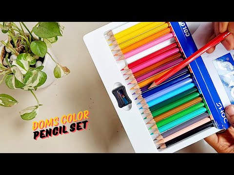 DOMS Color Pencils Review | 24 Shades for Just Rs. 83? | Perfect for Beginners!