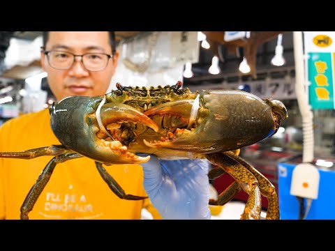 Collection of winter seafood from Okinawa, Japan