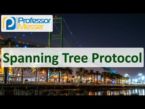 Spanning Tree Protocol - CompTIA Network+ N10-009 - 2.2