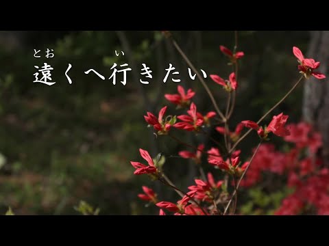 遠くへ行きたい 　石川さゆり