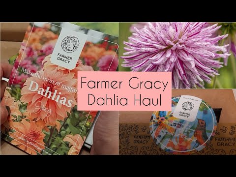 Farmer Gracy Haul / Unboxing 📦 - Cactus Style Dahlia's