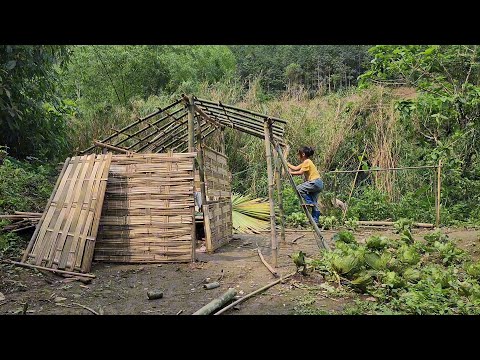 Full VIDEO: redoing the house, blown away by the wind, and planting seeds in the garden, kitchen