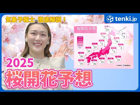 【桜開花予想】2025年は平年並みか早い開花　【気象予報士徹底解説】