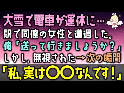 【感動する話】大雪で電車が運休に…駅で同僚の女性と遭遇した。俺「送って行きましょうか？」しかし、無視された→次の瞬間「私、実は〇〇なんです！」（泣ける話）感動ストーリー朗読