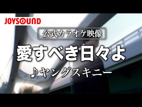 【カラオケ練習】「愛すべき日々よ」/ ヤングスキニー【期間限定】