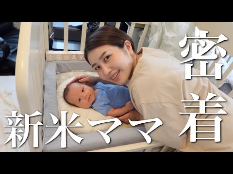 【生後26日目】新米ママと新生児の1日に密着｜完全母乳｜完母｜育児｜ルーティン