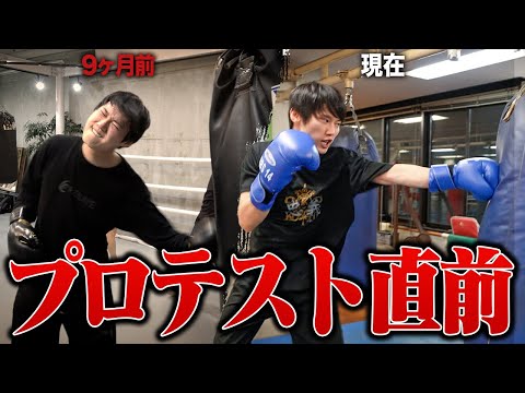 【本番直前】河野玄斗は合格できるまで成長できたのか【プロボクサーへの道 #7】