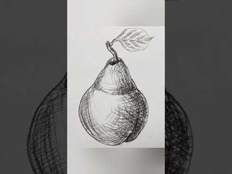 Pear Drawing || #drawingideas #pear #drawing #sketching  #drawingtechniques #shading