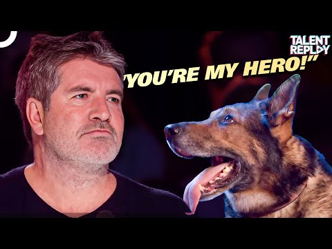 Watch How Hero Dog Finn Has Saved Lives | Britain’s Got Talent