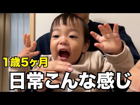 1歳5ヶ月と母、2人の日常を詰め込んでみました