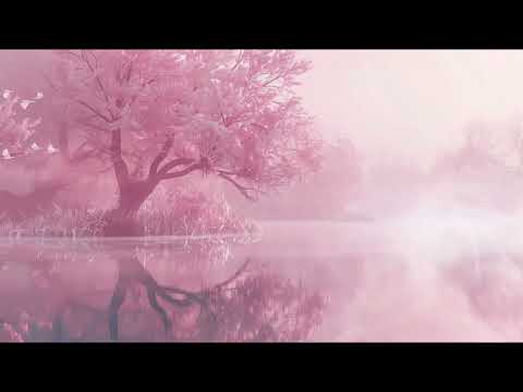 Foggy Pink Lake View |  Forest |  Birds Flying | Soothing | Calming | Relaxing | Study Instrumental