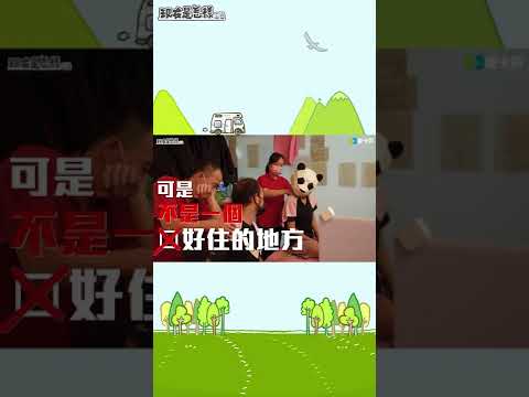 台灣的不一樣讓小飛選擇留在台灣！！ #SHORT