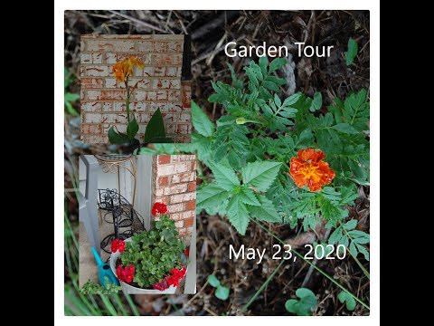 Weekly Garden Tour for 5-23-2020