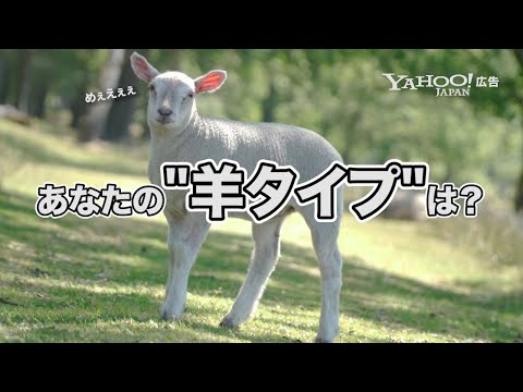 【無料】あなたのための羊タイプ診断をリリースしました！＜Yahoo!広告＞