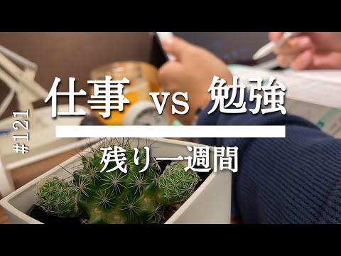 【４時起きルーティン】大型プロジェクトに挑む朝活社会人の勉強記録 #121