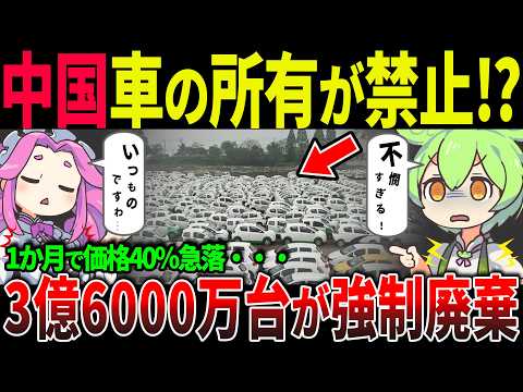 【衝撃】中国で車が持てなくなる！？3億6000万台廃車＆電動バイク禁止の厳格政策とは【ずんだもん＆ゆっくり解説】