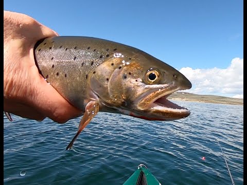 Fly Fishing Utah-Ice Off