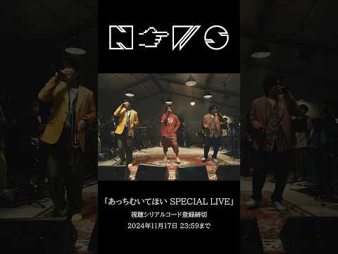 NEWS – #あっちむいてほい SPECIAL LIVE Digest #Shorts