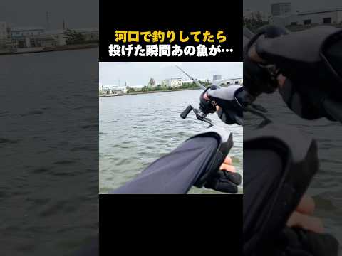 投げた瞬間あの魚が…#shorts