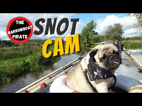 Farewell Narrowboat Captain 🏴‍☠️  | I Visit the beautiful town of Nantwich  [Ep 71]