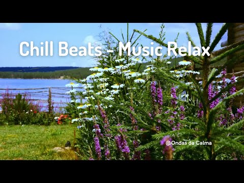 Chill Beats Música para relaxar