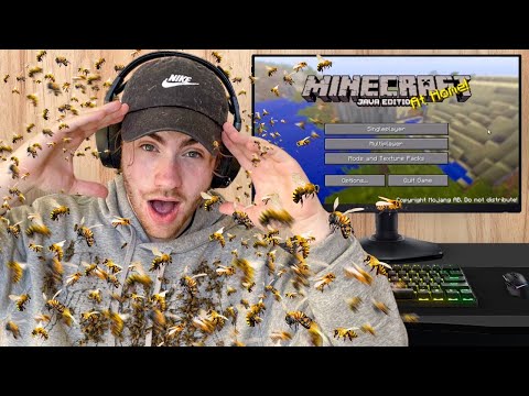 Beating Minecraft While SWARMED by BEES