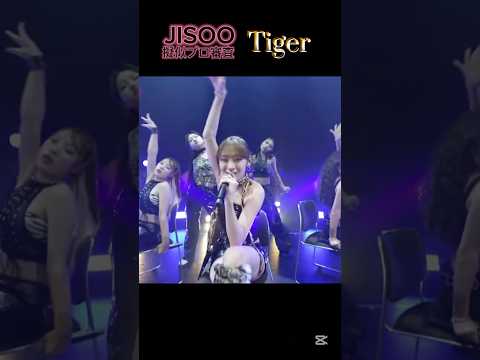 #NoNoGirls 擬似プロ審査 JISOOちゃん集 "Tiger" "NG" 5次審査 #ノノガ