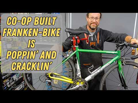 CUSTOMER: HELP! My bike is POPPIN' and CLICKIN'! Tuneup and Overhaul for a Raleigh Frankenbike!