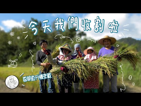 【花漾好日子 稻農篇】EP4 我們收割啦！Eric：這就叫直升機來幫忙