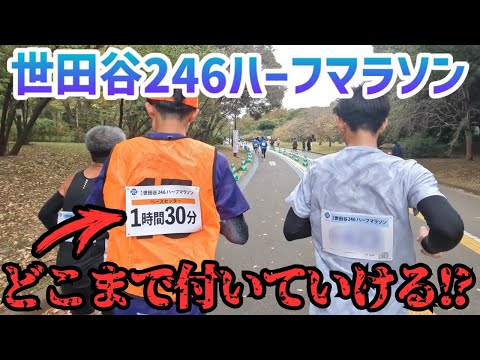 【世田谷246ハーフ】90分切りなるか！？はたまた撃沈となるのか！？